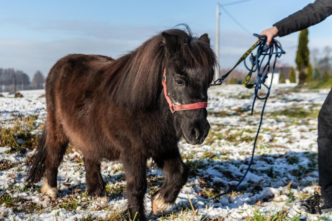Orzechowa Ostoja Noclegi Energylandia Bachowice Eksteriør billede