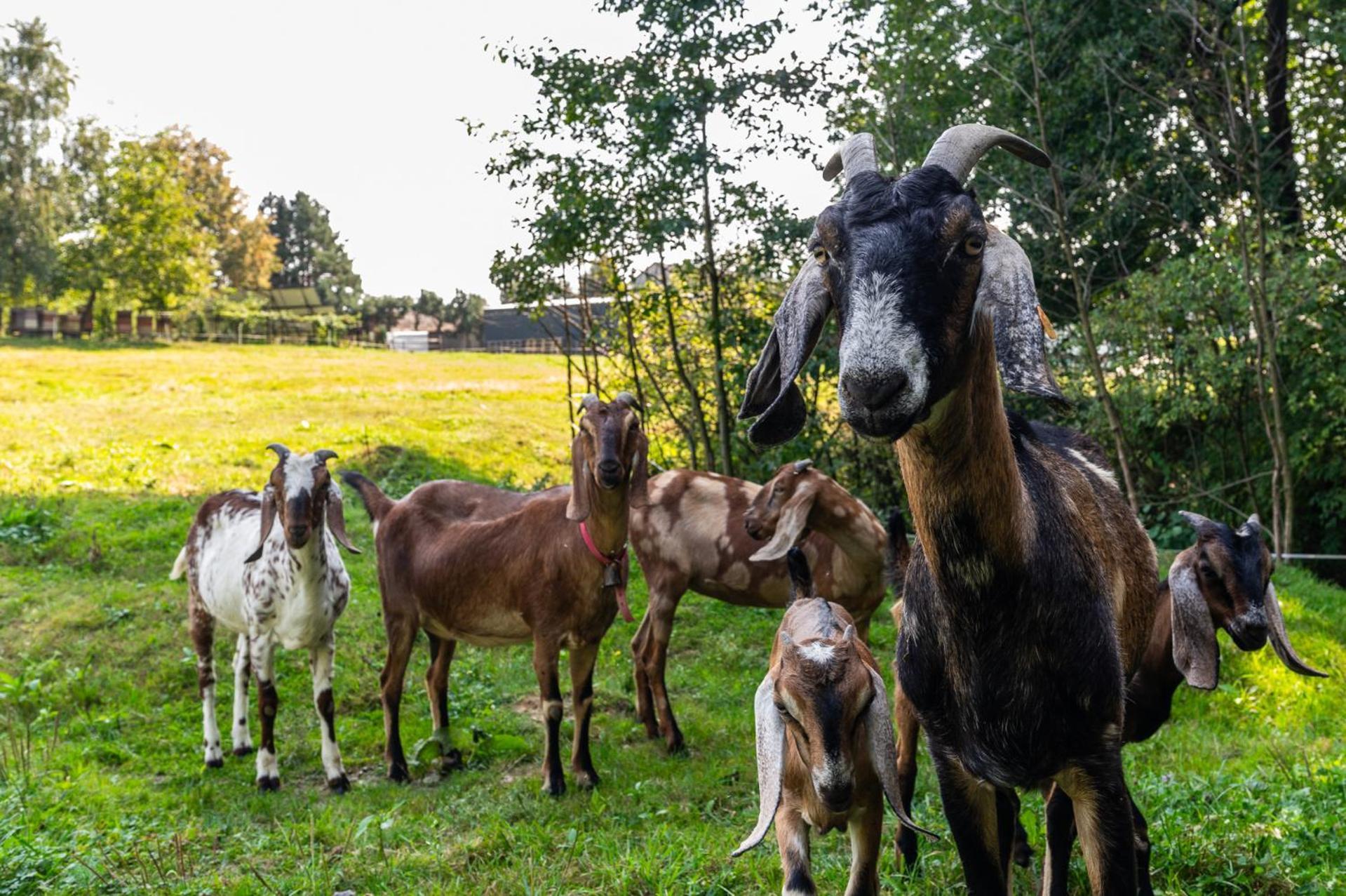 Orzechowa Ostoja Noclegi Energylandia Bachowice Eksteriør billede